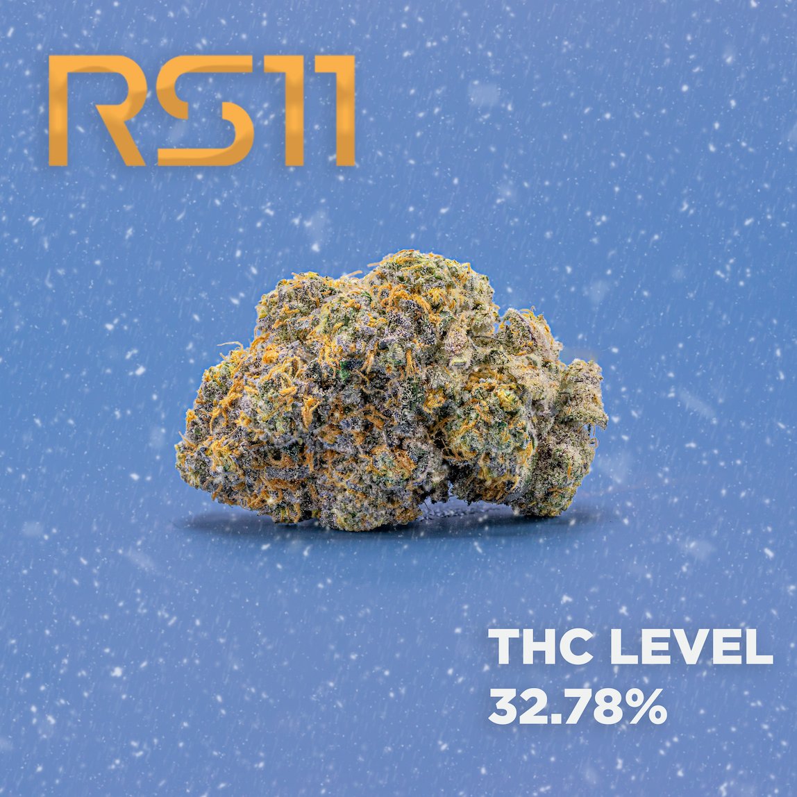 _THCDesign's tweet image. Limited edition RS11 is the nug of the week!

RS11 is an Indica-dominant cross of Pink Guava x OZK, featuring δ-Limonene, β-Caryophyllene, and Linalool as its primary terpenes, giving it a dank, gas flavor with notes of lemon-lime and oranges. #RS11 #nug #THCdesign #kush