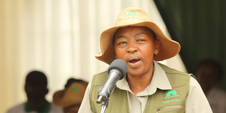 Rachel Ruto adopts Kakamega forest in conservation push
bit.ly/3V0Ggw8