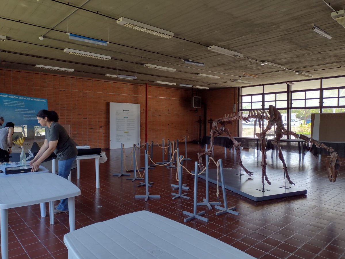 uyfossilday's tweet photo. Arrancó la previa del #FossilDay2022 en @FcienUdelar 😎😎🦕🦣🐚🦈 https://t.co/wf9pjIPMx0