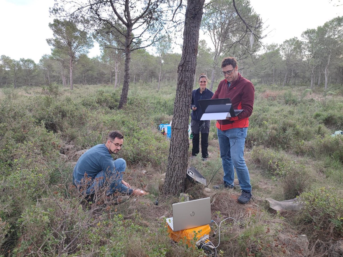 GRAM (@gramub) on Twitter photo Nice <a href="/holisoils/">HoliSoils Project 🇪🇺</a> #fieldwork day! Working on #prescribedfire plots in Montgrí Massif (Catalan Coastal Range, NE Spain). #geography <a href="/PauCostaF/">Pau Costa Foundation</a> <a href="/GeografiaUB/">Geografia UB</a> Nice <a href="/holisoils/">HoliSoils Project 🇪🇺</a> #fieldwork day! Working on #prescribedfire plots in Montgrí Massif (Catalan Coastal Range, NE Spain). #geography <a href="/PauCostaF/">Pau Costa Foundation</a> <a href="/GeografiaUB/">Geografia UB</a>