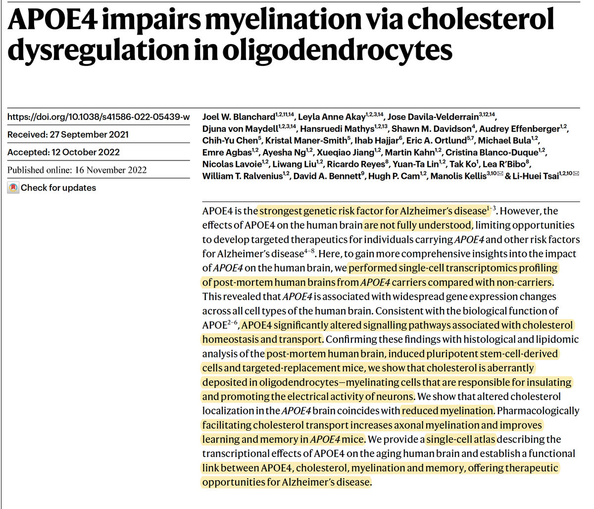 About 1 in 5 of us have an APOE4 gene variant, the #1 genetic risk factor for Alzheimer's disease. But the mechanism for brain injury was a mystery, now getting unraveled (cholesterol processing by oligodendrocytes) nature.com/articles/s4158…
@nature
nature.com/articles/d4158…