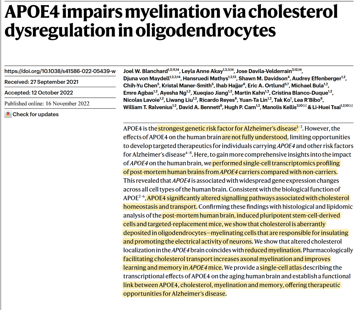 About 1 in 5 of us have an APOE4 gene variant, the #1 genetic risk factor for Alzheimer's disease. But the mechanism for brain injury was a mystery, now getting unraveled (cholesterol processing by oligodendrocytes) nature.com/articles/s4158… @nature nature.com/articles/d4158…