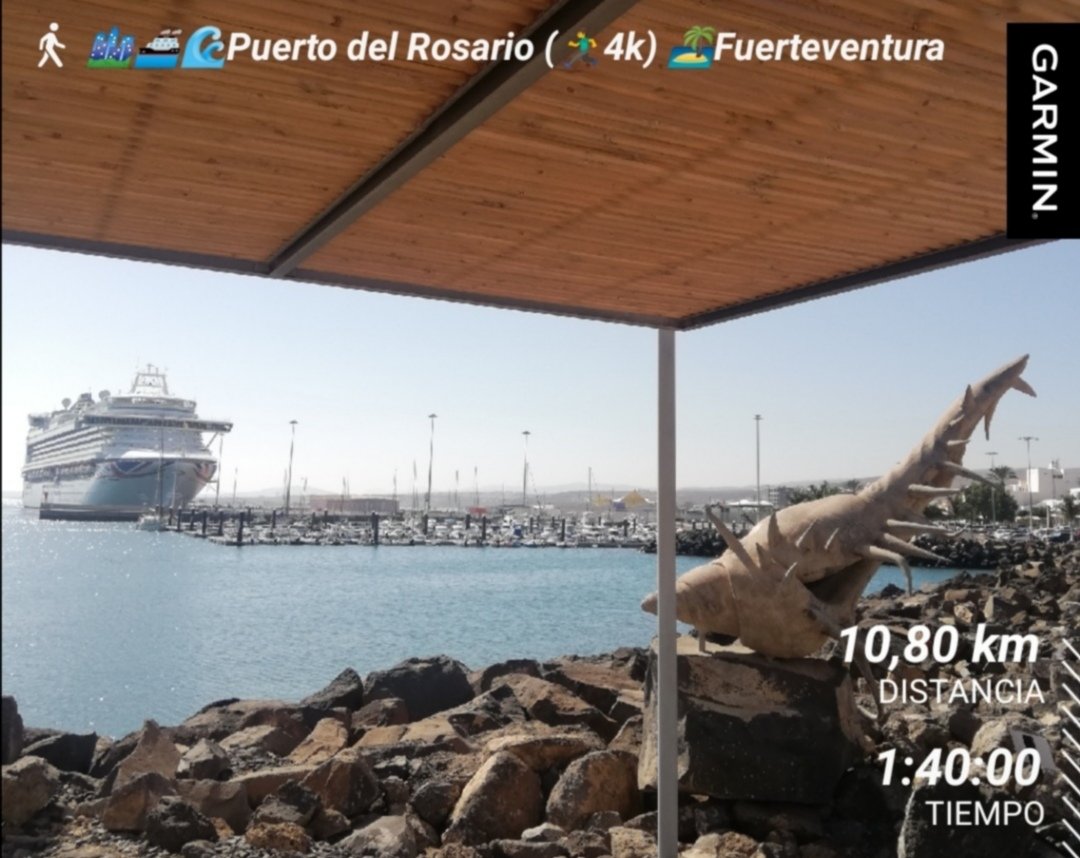 BiciGranCanaria's tweet photo. 🏝️#Fuerteventura
Caminata, trote y natación
🏙️⚓🌊#PuertoDelRosario
🚶♂️6k🏃♂️4k 🏊♂️900m
☀️⌚13h🌡️28°
🎧@Thanosar 💿#JusticeTree
#DIABETESTIPOFREE
#MUÉVETEFRENTEALCÁNCER
#Caminar #Walk
#Correr #Run
#ImRunner #SoyCorredor
#Natación #Swimming
#NataciónAguasAbiertas
#Playa #BeachSwimming https://t.co/n6JIgkbLA3