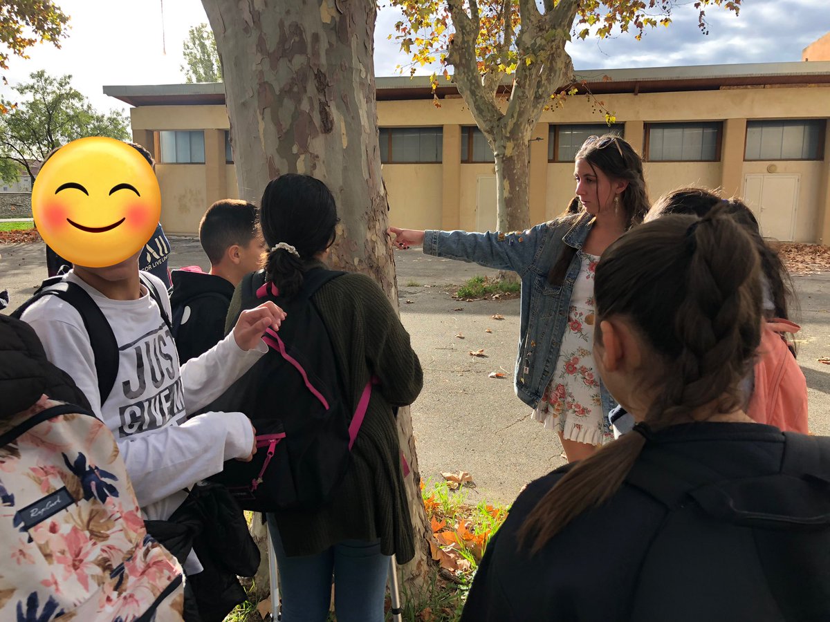 Clg_Ferry13_EDD's tweet photo. Les sixièmes du collège Jules Ferry ont bénéficié aujourd’hui des interventions d’Elisabeth Holtzer @ODSProvence. Nos amandiers sont en retard sur le stade 91 = Sénescence 10% #Phénologie #Réchauffementclimatique #Sciencesparticipatives #Protocoledobservation #ODD13 https://t.co/lkq4OkGJbB