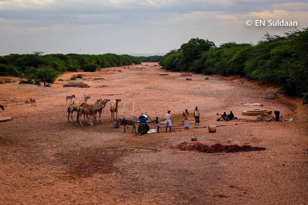 ensuldaan's tweet photo. Ceel-gaal-Hiraan Somalia ❤️
#Somalia #Hiraan @AbdisalamAato @AliADualle https://t.co/KNObeDdmoR