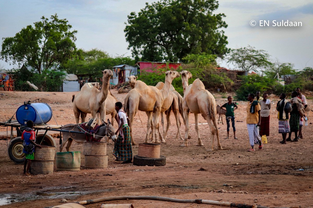 ensuldaan's tweet photo. Ceel-gaal-Hiraan Somalia ❤️
#Somalia #Hiraan @AbdisalamAato @AliADualle https://t.co/KNObeDdmoR
