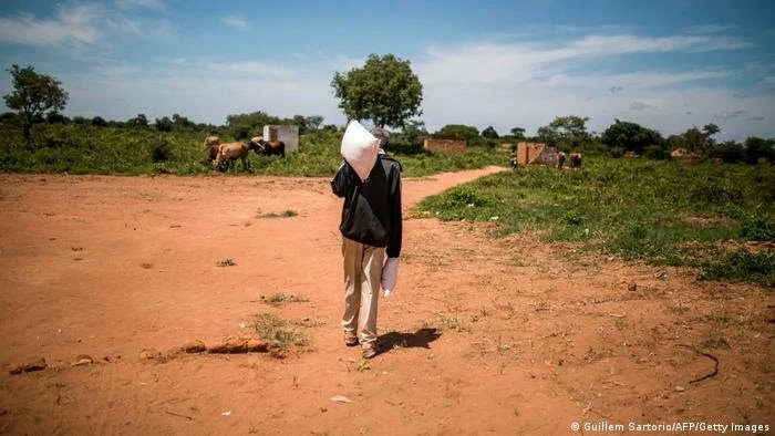 DevelopZForum's tweet photo. Zambia: Female Farmers Adapt To Climate Change

https://t.co/LQvI3fzpF0

Read the full article on our website, link in bio. )

#ZambiaRising #DevelopmentNews #zambia🇿🇲 #dzfupdates #developzambiaforum https://t.co/BsJpgImU4j