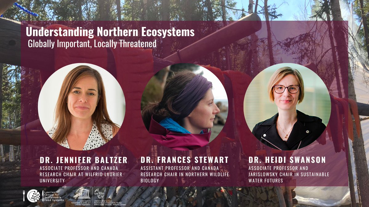 UNESCO Chair, FBSS (@unescochairfbss) on Twitter photo Reminder! Join Drs. Jennifer Baltzer, Frances Stewart, and Heidi Swanson today @ 1:30pm for a discussion on #FoodSystems sustainability and #biodiversity in the Northwest Territories.
Register and join online here: eventbrite.ca/e/457147198577
<a href="/LaurierBiology/">Laurier Biology 💜𓅪💛</a> <a href="/BalsillieSIA/">Balsillie School of International Affairs</a> Reminder! Join Drs. Jennifer Baltzer, Frances Stewart, and Heidi Swanson today @ 1:30pm for a discussion on #FoodSystems sustainability and #biodiversity in the Northwest Territories.
Register and join online here: eventbrite.ca/e/457147198577
<a href="/LaurierBiology/">Laurier Biology 💜𓅪💛</a> <a href="/BalsillieSIA/">Balsillie School of International Affairs</a>