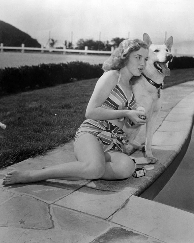 Puppy Love 😍🐶

📸: #BernardOfHollywood⁣

#MarilynMonroe #Animal #Dog #Icon