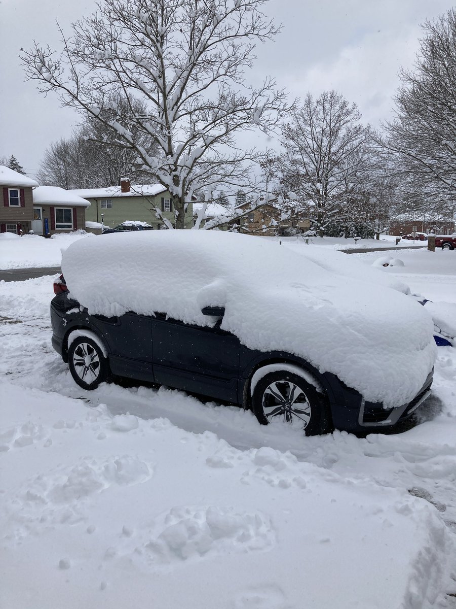 EricaBee 🐝 tweet media