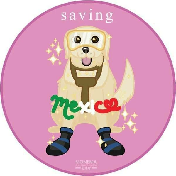 MonemaStudio's tweet image. Gracias por todo #Frida ¡Vuela alto chiquita! 🤍