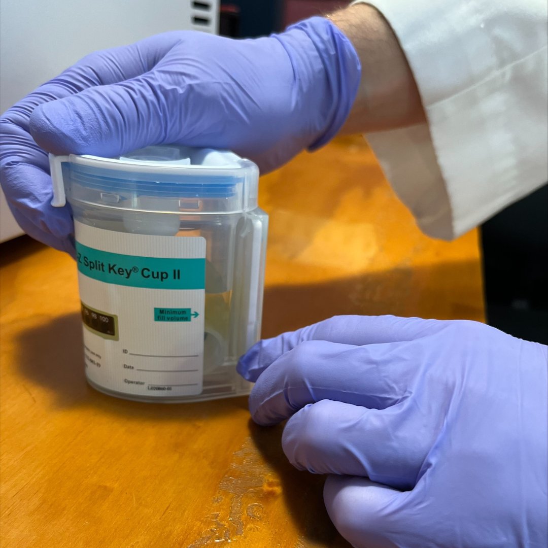 WolfeTweets's tweet photo. Does your workplace need instant product for pre-employment testing? Wolfe has you covered. We offer instant drug testing solutions that includes urine testing, alcohol testing, nicotine testing, and oral fluid testing.

To learn more, give us a call at 1-800-230-2991 https://t.co/ss8MDodaWi
