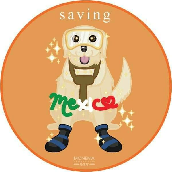 MonemaStudio's tweet image. Gracias por todo #Frida ¡Vuela alto chiquita! 🤍