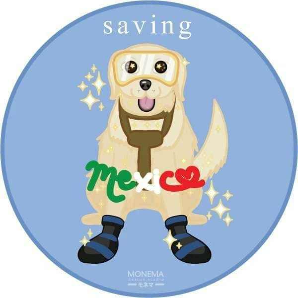 MonemaStudio's tweet image. Gracias por todo #Frida ¡Vuela alto chiquita! 🤍