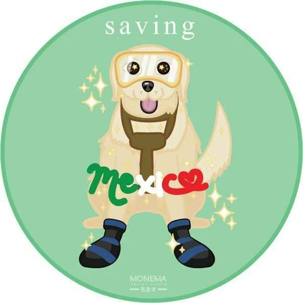 MonemaStudio's tweet image. Gracias por todo #Frida ¡Vuela alto chiquita! 🤍