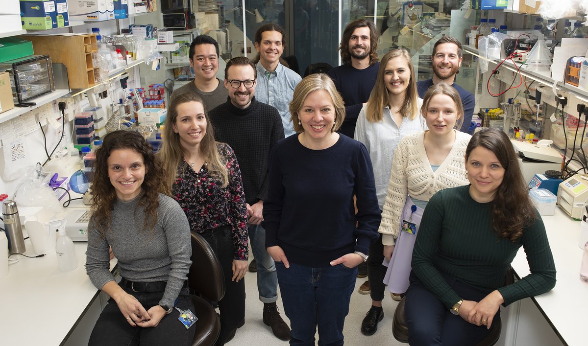 I have two post-doctoral positions open in my lab @MRC_LMB to use biochemical reconstitution &amp; structural biology to understand mRNA processing.
I am looking for candidates with experience in structural techniques or high-throughput sequencing.