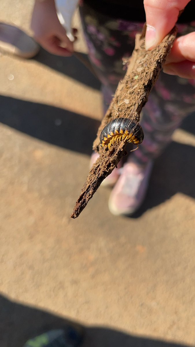 Julia Workman tweet media