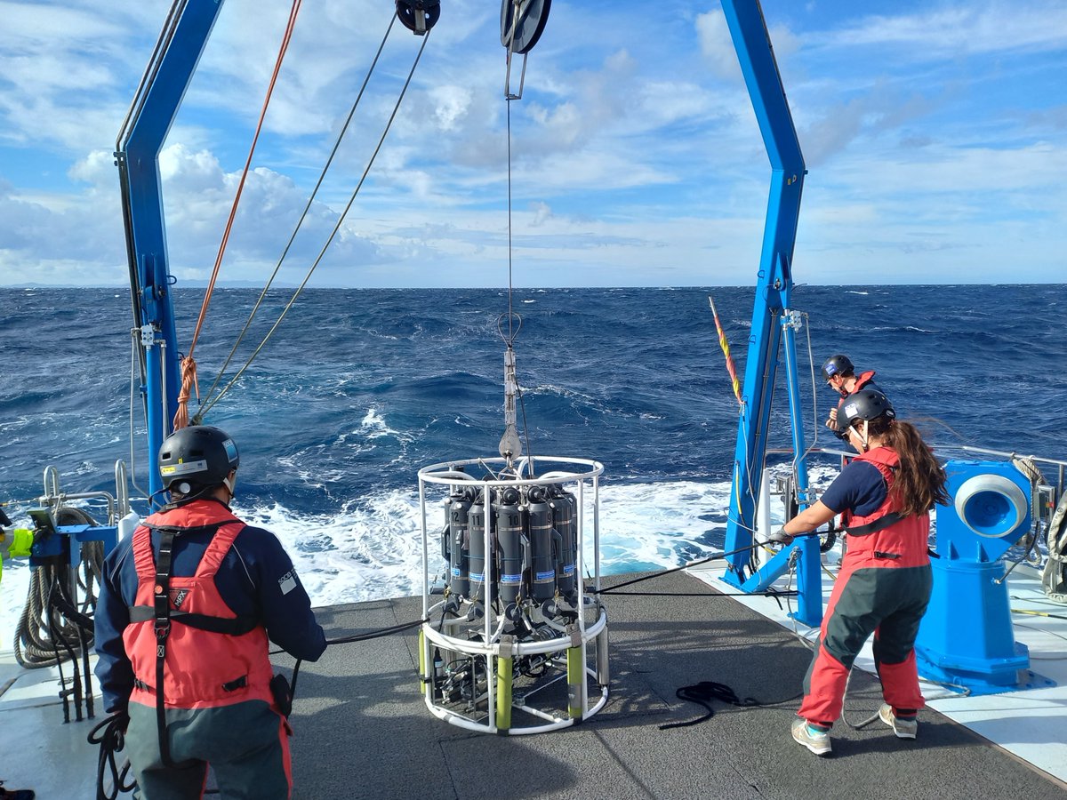 1⃣ 🚢 🌊 From Nov 13 to 16, the #CANALES-AUTUMN #OceanographicCruise has thrived once again, involving the sampling of physical, chemical &amp; biological parameters in Ibiza &amp; Mallorca Channels.
Check out #OpenAccess #MarineData
👉🏽 apps.socib.es/dapp/
#ICTSNews #MediterraneanSea