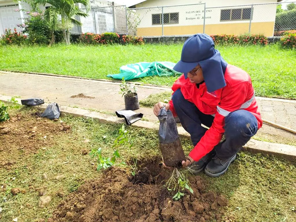 AlcaldiaLorica's tweet photo. Sembramos vida y oxígeno en nuestra ciudad. Los Héroes Ambientales complementaron la limpieza y aseo del parque lineal Avenida de los Estudiantes, con la siembra de plantas ornamentales 🌳🌼 para el disfrute de mejores espacios.
#CulturaCiudadana
#vamosalparque
#MedioAmbiente https://t.co/bLHzbYHe1Q