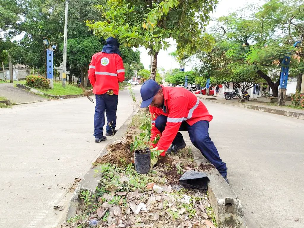AlcaldiaLorica's tweet photo. Sembramos vida y oxígeno en nuestra ciudad. Los Héroes Ambientales complementaron la limpieza y aseo del parque lineal Avenida de los Estudiantes, con la siembra de plantas ornamentales 🌳🌼 para el disfrute de mejores espacios.
#CulturaCiudadana
#vamosalparque
#MedioAmbiente https://t.co/bLHzbYHe1Q