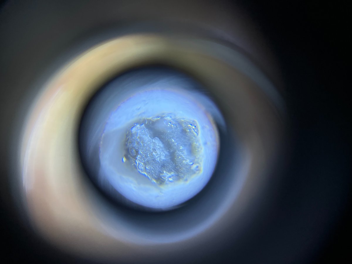 The final class of Explorations of Mars! This is when I surprise my students with Mars Engagement Kits that include a fragment of a Mars meteorite, a tiny microscope, and a list of the next 10 Mars oppositions. I tell them our last class isn’t the landing, it’s the launch. 🚀