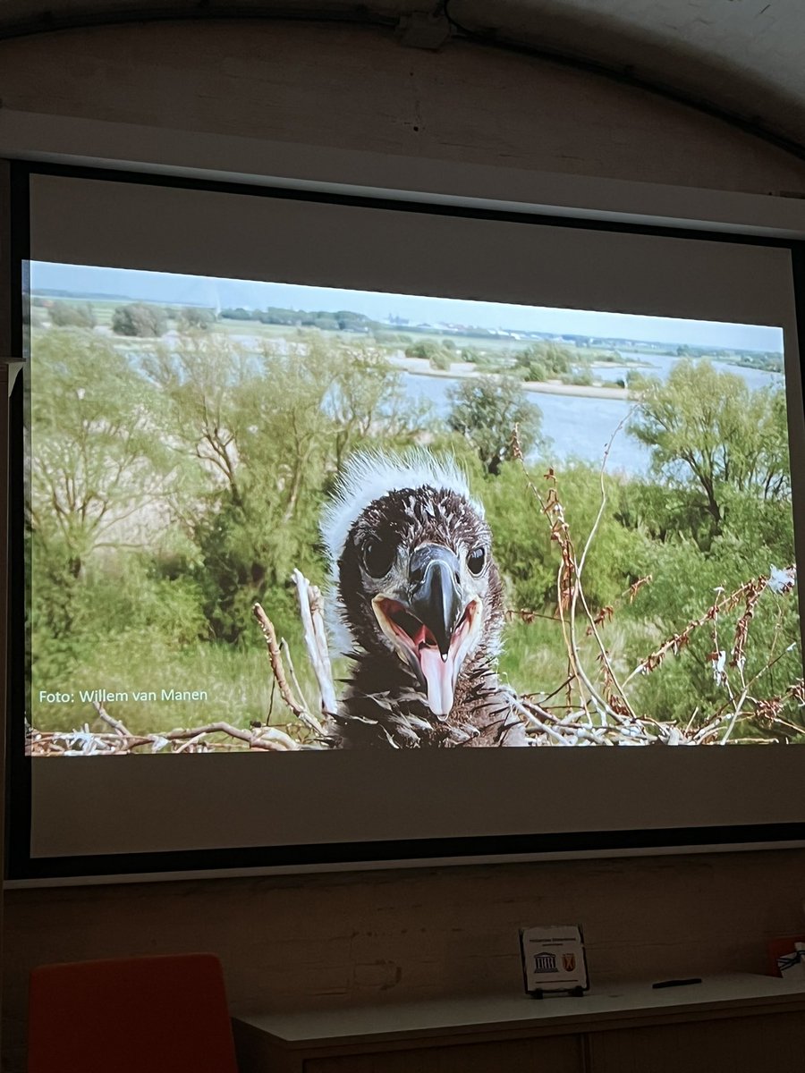 Hermen Vreugdenhil tweet media
