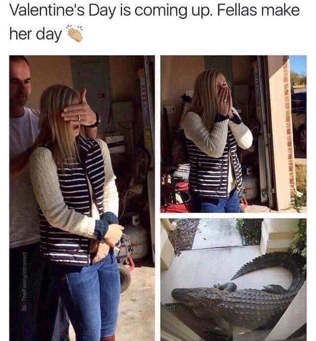 Gators Daily 🐊 (@gatorsdaily) on Twitter photo 