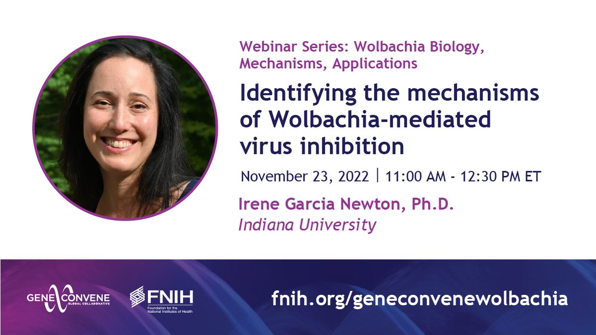 GeneConvene (@gene_convene) on Twitter photo Join us this Wednesday @ 11 AM ET for a conversation with <a href="/IUCollege/">The College at IU</a>'s Dr. Irene Garcia Newton on identifying the mechanisms of #Wolbachia-mediated virus inhibition. Register now: fnih.org/geneconvenewol… Join us this Wednesday @ 11 AM ET for a conversation with <a href="/IUCollege/">The College at IU</a>'s Dr. Irene Garcia Newton on identifying the mechanisms of #Wolbachia-mediated virus inhibition. Register now: fnih.org/geneconvenewol…