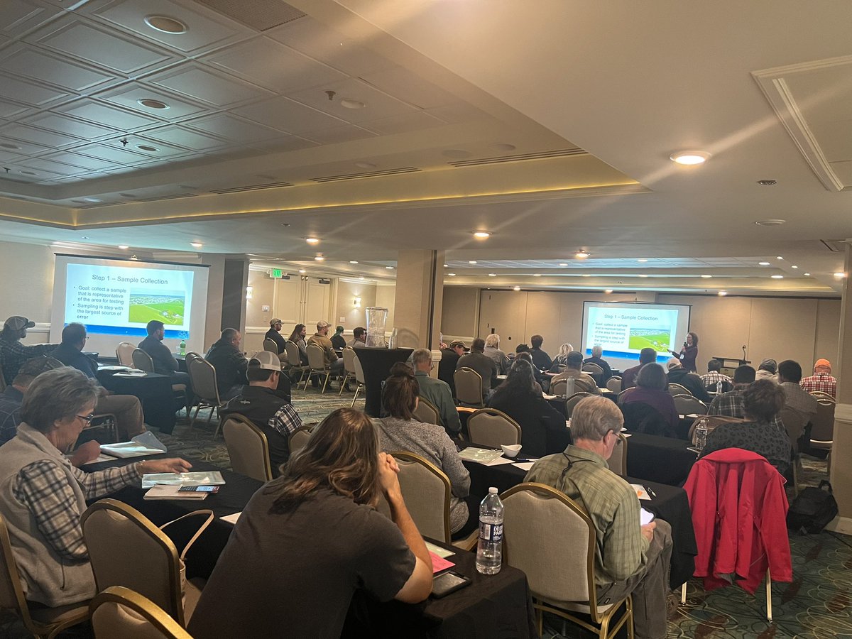 Simer Virk tweet media