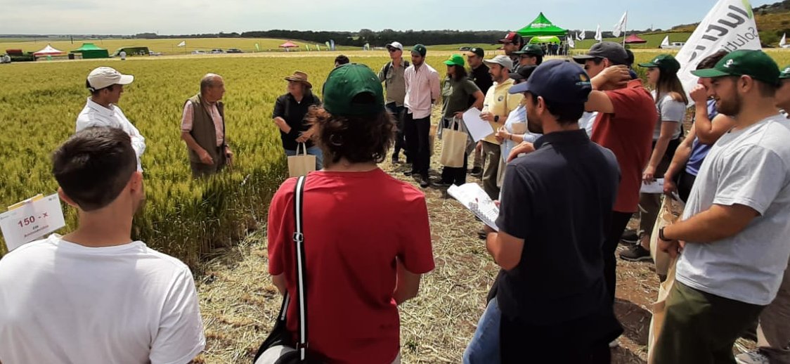FertilabLab's tweet photo. FERTILAB presente en la Jornada de la UPA de JMFangio de @aapresid. Recorrimos los ensayos de N en trigo y cebada en los que participa el laboratorio. Proyecto conjunto @FerSalvagiotti @GRSueloCultivo https://t.co/OhLdh8kkks