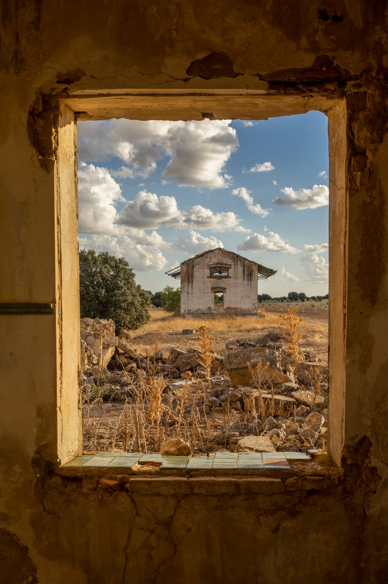 Moj & Con ⚫ tweet media