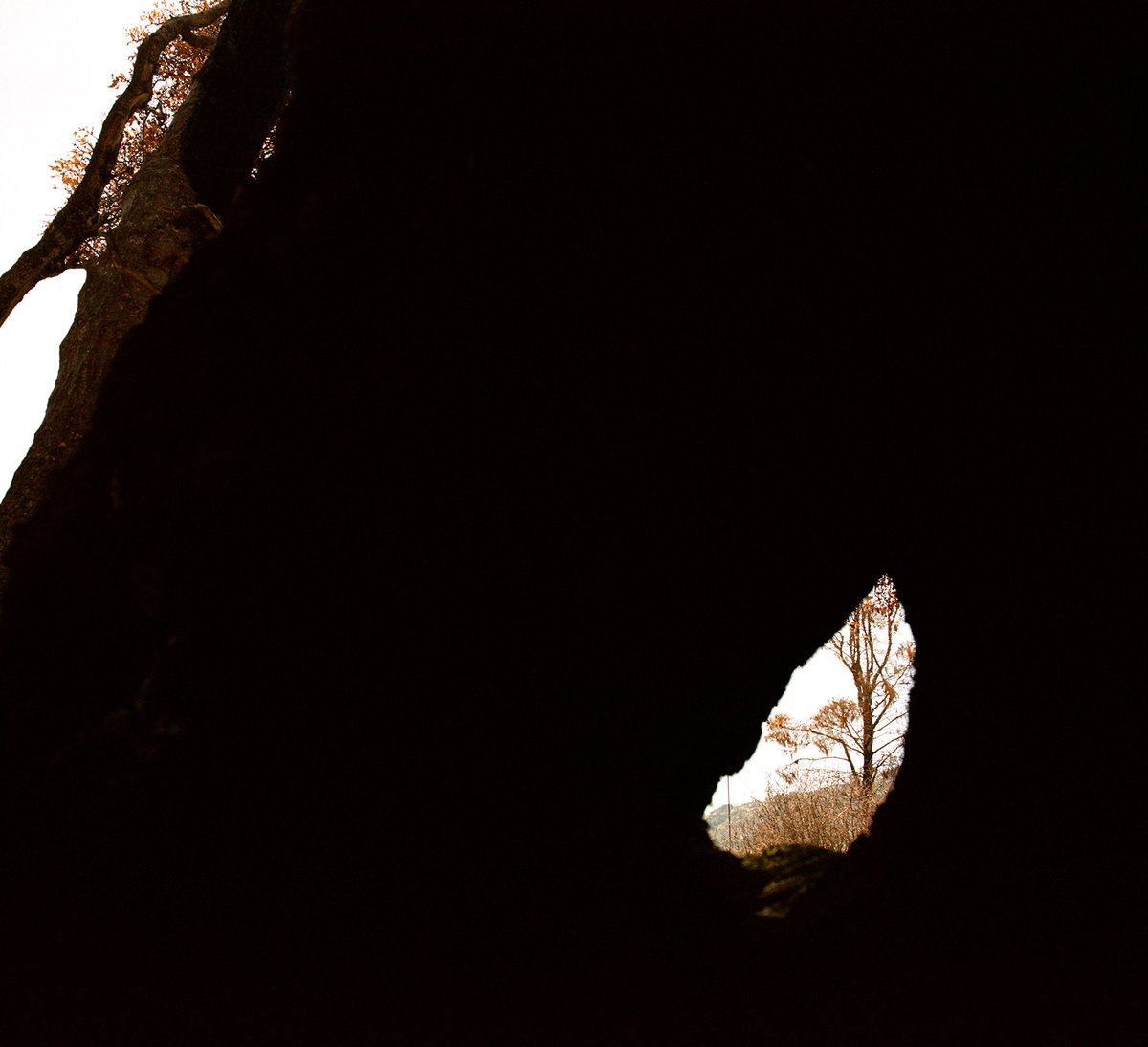 Siru Wen's practice intersects between installation, film, and photography. She meditates on the balance of opposing forces, meanings, and sentiments that originate from and flow...

View more from "(Un)Natural Cycles": bit.ly/3V7nSlq