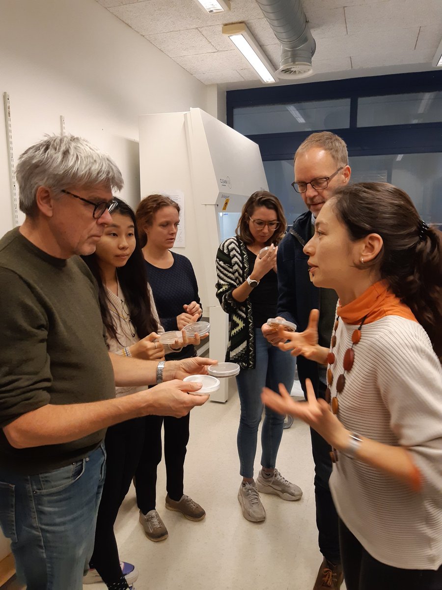 SilvaNova_NNF's tweet photo. Workshop activity: visiting facilities @LeidenBiology. A lot of inspiration and fun new toys.
@novonordiskfond @klausslar @PerGundersenKU @KarelleRheault @SofiaIFGomes @Ming_YYUU @AnslanSten @sebastiankpr @ym_rosas @DavideBarsotti https://t.co/sJTjuihFyv