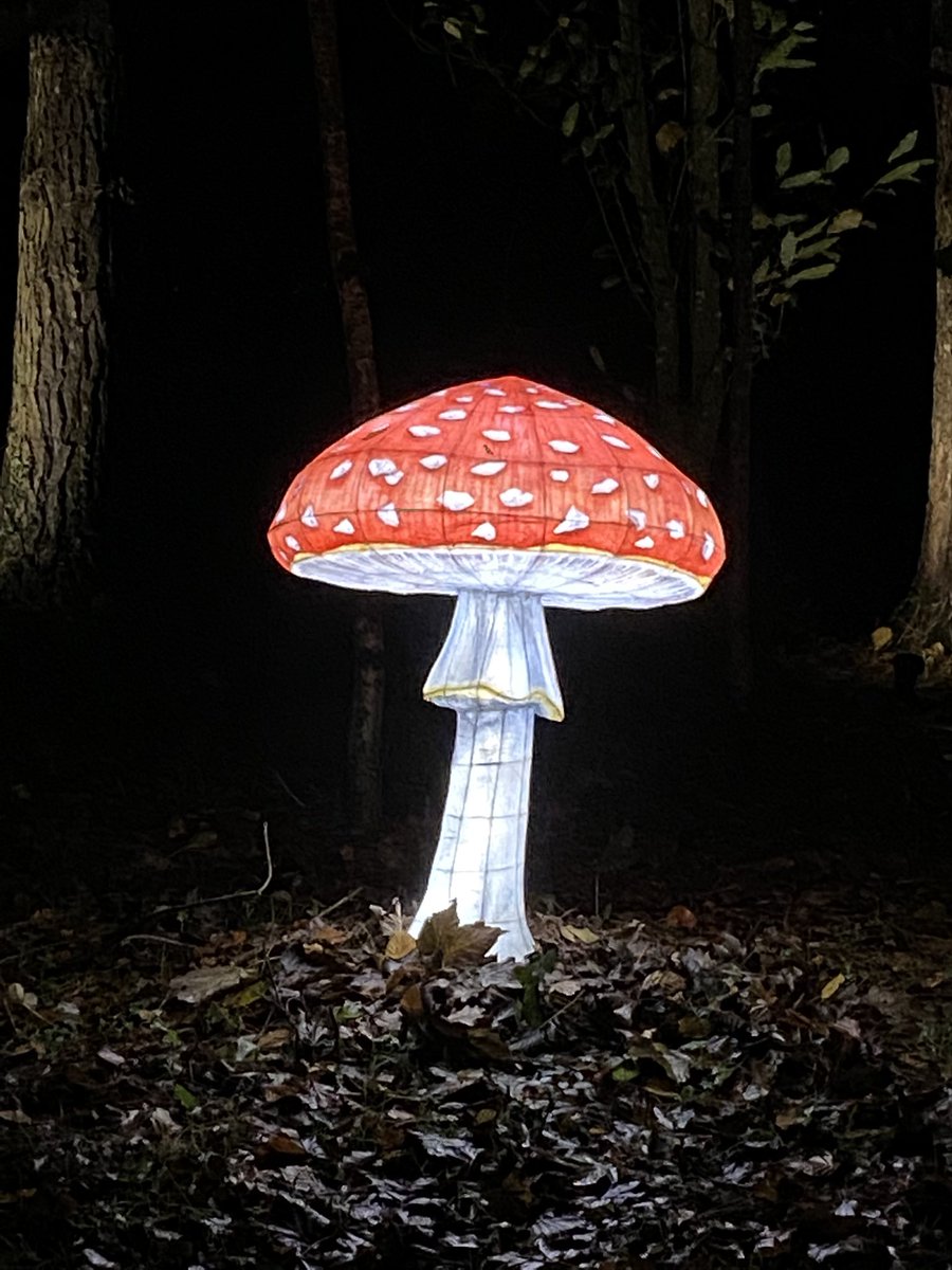 Dan Ryan tweet media