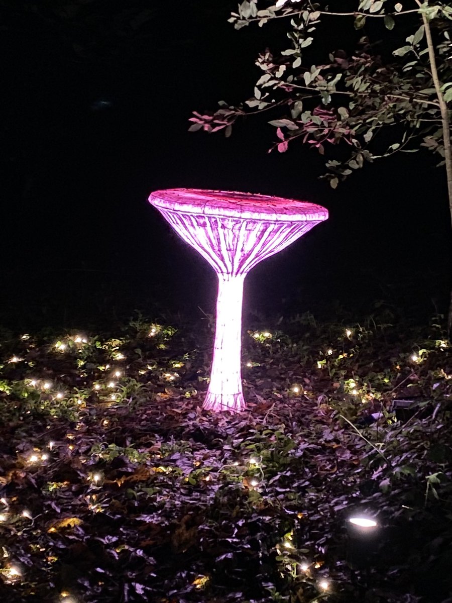 Dan Ryan tweet media