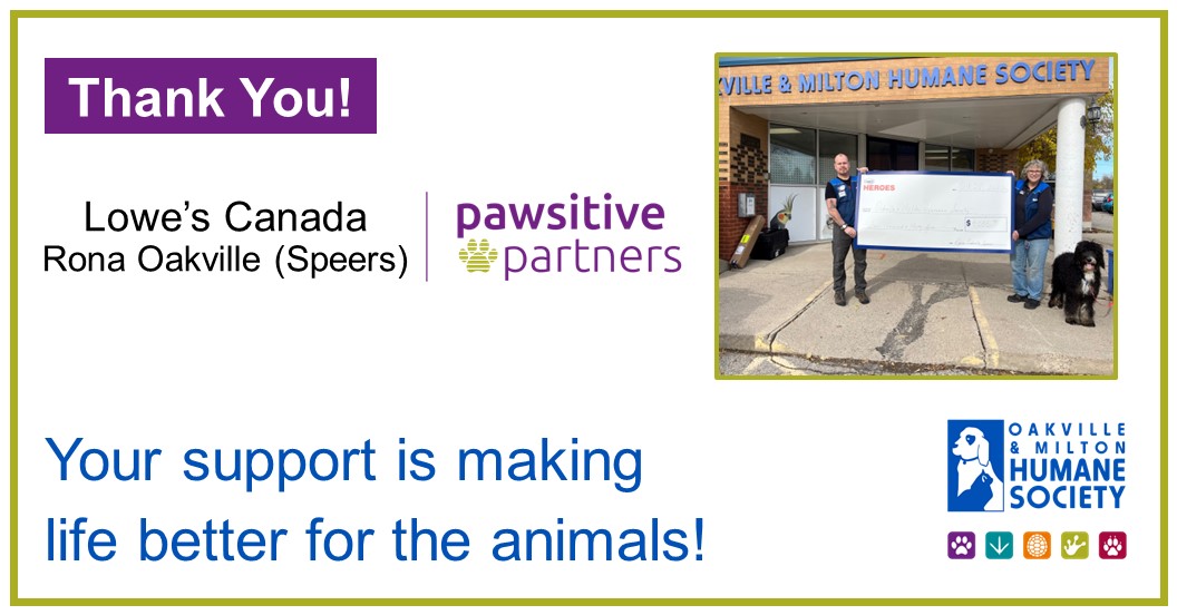 Lowe's Canada (Lowes_Canada) / Twitter