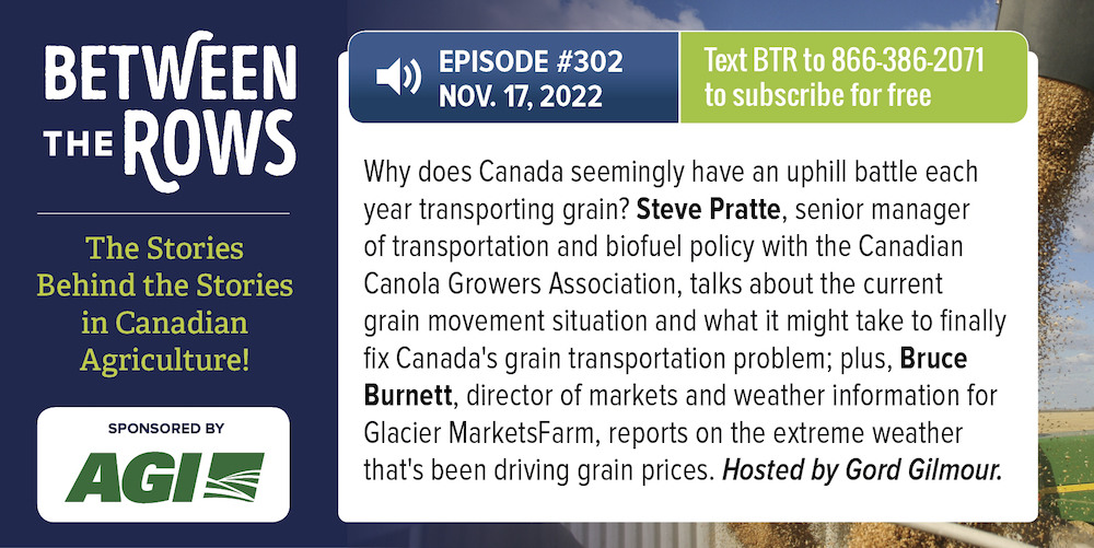 [NEW PODCAST] On this week’s ‘Between the Rows’ with <a href="/ccga_ca/">CCGA_ca</a> <a href="/MarketsFarm/">MarketsFarm | Glacier FarmMedia</a>: On (and off) the rails, weathering commodity prices. Download on Apple Podcasts at: ow.ly/h3SL50LHtrH (Sponsored by <a href="/AgGrowthIntl/">AGI</a>) #cdnag