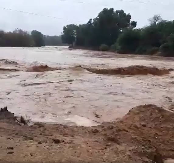 LiveLetLiveKe's tweet photo. Was North Eastern Kenya really ready for the heavy rains? The water is wasting away no harvesting, what have the former Governors of Northern Kenya been doing all these years?
Will we be doing a Hunger drive "Kenyans for Kenyans" again next year?
|Malaya|Fear Women| Fatuma Gedi| https://t.co/gkL7c5r75m