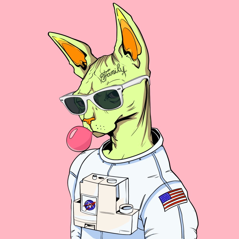 Did a bit of #NYAWISHOPPING today got a bunch of @TheSphynxUS collection and this 2 is definitely my favorite one because their unmatched aesthetic ✨✨look at their immaculate vibe👀 shout out to the artist for this amazing work🔥 #NFTs #NFTCollection