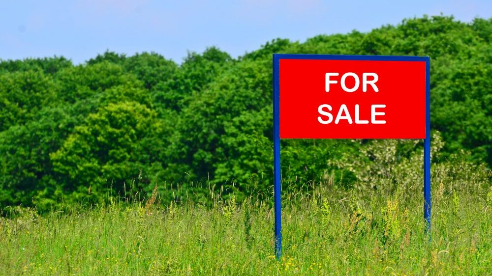 Orlando_Realtor's tweet photo. Use an Experienced Agent When Buying Land https://t.co/OeeScm8CNC https://t.co/VFawXFNQtv