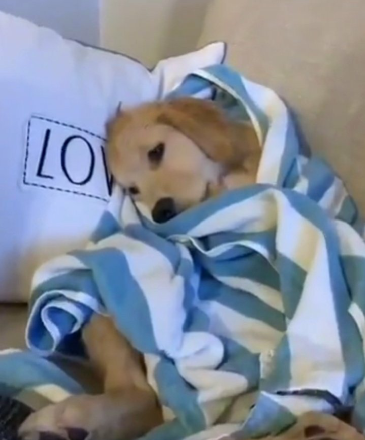 Bu hafta seb'in emekli olacağı ve f1 2022 sezonunun son yarışı olacağı aklıma gelince televizyona yansıyan eşgalim