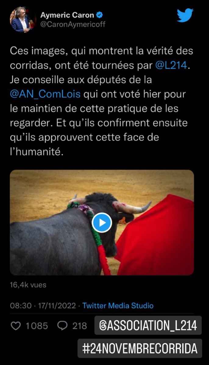 Reboul Thierry (@reboulthierry3) on Twitter photo 