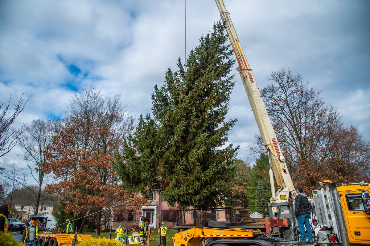 NYS General Services tweet media