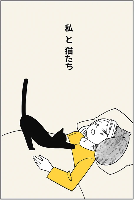 今日から21～22時頃に、猫マンガをアップします。
可愛い、こーちゃんとニーニのマンガです🥰❤️

新作、再掲ともにあります。
良かったら、読んでください😊 