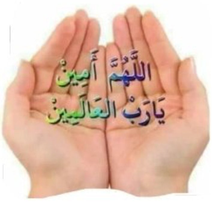 ( منتهى العشق ) tweet media