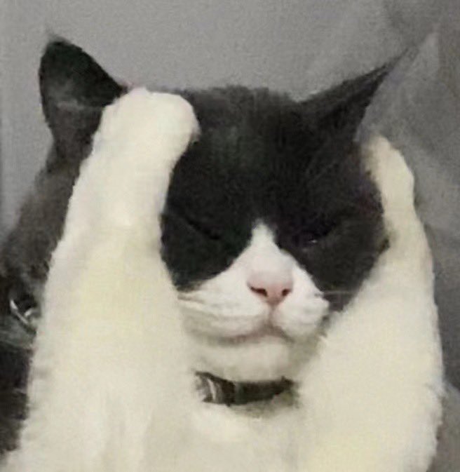 Ferique2's tweet photo. We always repeat the process of regret for good🥲 https://t.co/xgwPzC4jbi
