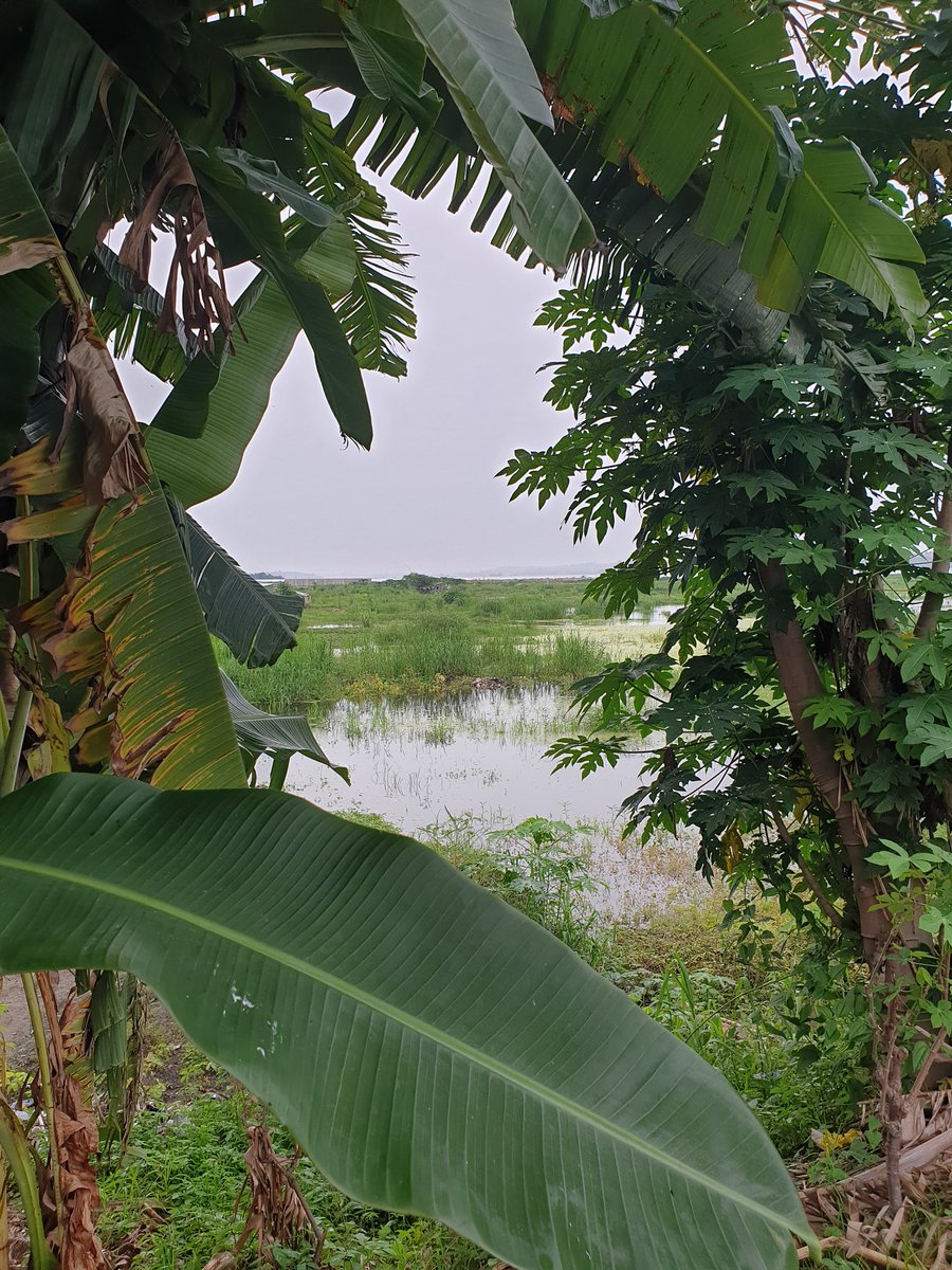 TBarbaut's tweet image. 📢 En direct de la République Démocratique du Congo 🌍
🚀 Imaginer le Congo de demain mais aussi et surtout celui d&apos;aujourd&apos;hui en réunissant les porteurs de projets de l&apos;#innovation et du #numérique made in #RDC avec @SilikinVillage