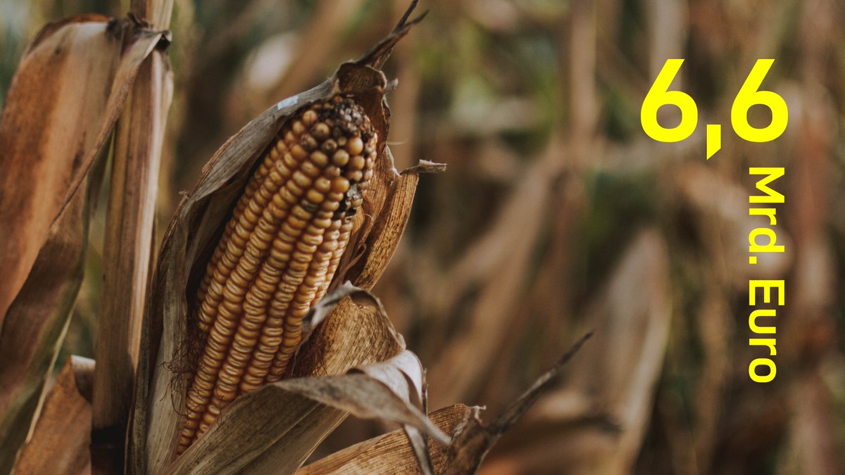 Der #Klimawandel ist teuer: Allein in Deutschland summieren sich die Schäden durch Ernteausfälle, Waldbrände oder eine sinkende Produktivität auf 6,6 Mrd. pro Jahr. HU-Forschende betrachten, welche Rolle Finanzmärkte für den #Klimaschutz spielen ➡️ humboldts17.de/de/news2/klima…