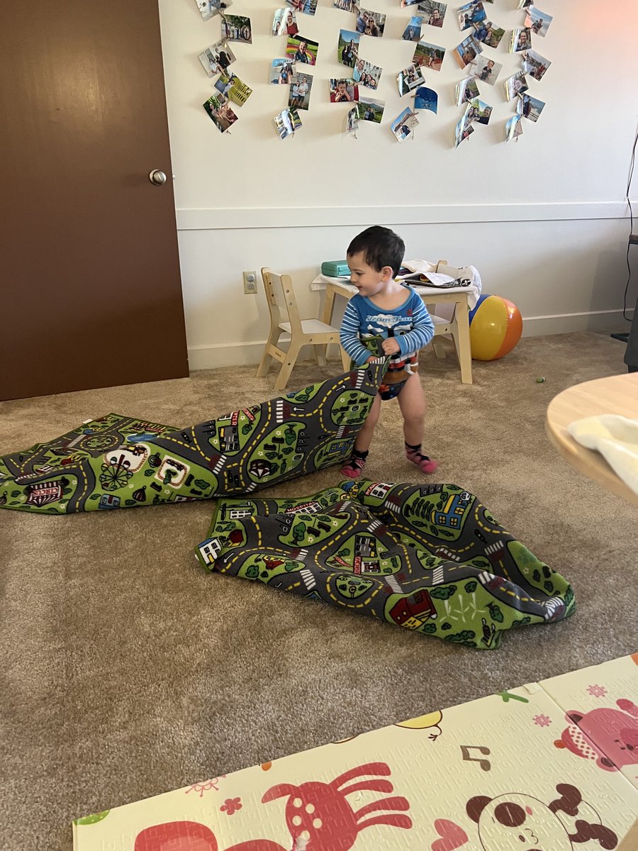 Courtney Paull tweet media