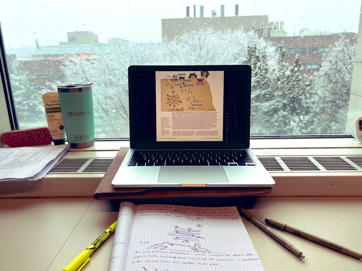 Lady_in_Lab's tweet image. What is more fun than studying viral assembly, release and maturation here @RobDickLab @Cornell        doi:10.1038/nrmicro3490